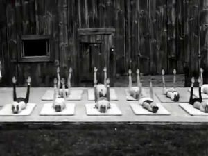 Joseph Pilates Mat Class at Jacob's Pillow